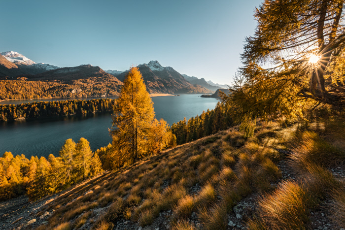 Switzerland Autumn: Sils i.E., Herbstlandschaft