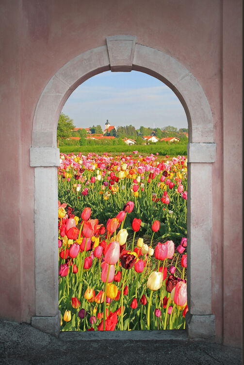 collage four seasons – tulip field, garda lake, karwendel valley
